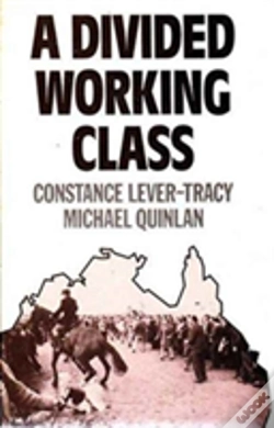 Capa do artigo Divided Working Class