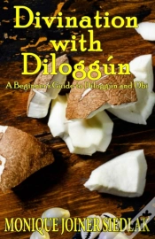 Capa do artigo Divination With Diloggun