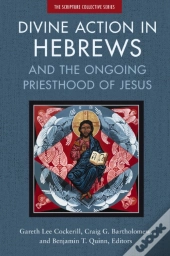 Divine Action In Hebrews