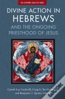 Divine Action In Hebrews