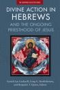 Divine Action In Hebrews - Preview