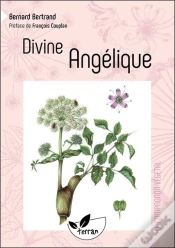 Capa do artigo Divine Angélique