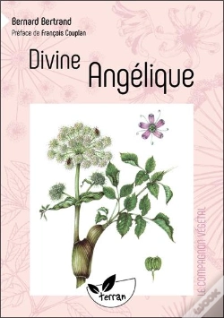 Capa do artigo Divine Angélique