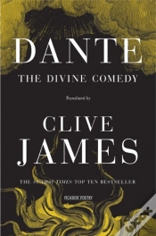 Capa do artigo Divine Comedy