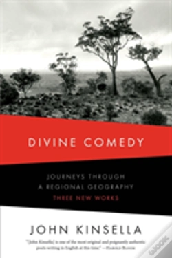 Capa do artigo Divine Comedy