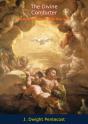 Divine Comforter - Preview