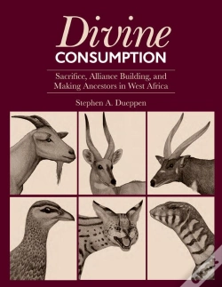 Capa do artigo Divine Consumption