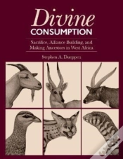 Capa do artigo Divine Consumption