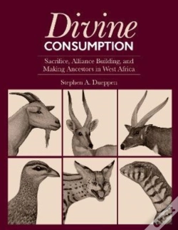 Capa do artigo Divine Consumption