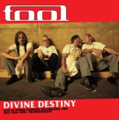Capa do artigo Divine Destiny - Vinil