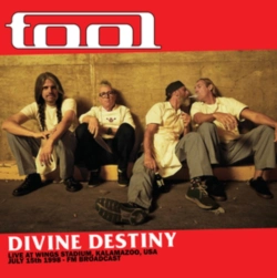 Capa do artigo Divine Destiny - Vinil