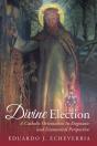 Divine Election - Preview