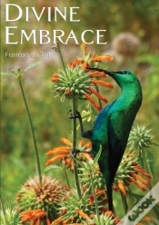 Capa do artigo Divine Embrace