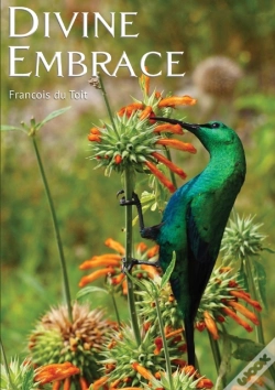 Capa do artigo Divine Embrace