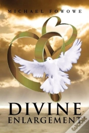 Capa do artigo Divine Enlargement