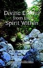 Divine Essays From The Spirit Within - Preview