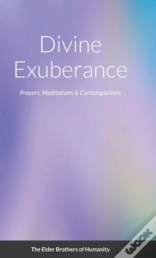 Capa do artigo Divine Exuberance