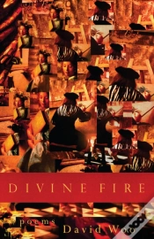 Capa do artigo Divine Fire