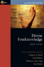 Divine Foreknowledge Â€“ Four Views - Preview