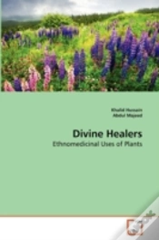 Capa do artigo Divine Healers