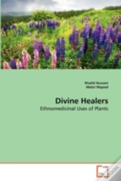 Capa do artigo Divine Healers
