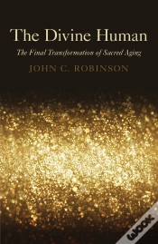 Capa do artigo Divine Human
