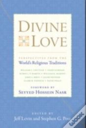 Capa do artigo Divine Love