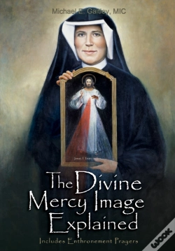 Capa do artigo Divine Mercy Image Explained