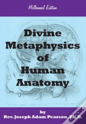 Divine Metaphysics Of Human Anatomy