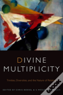 Divine Multiplicity