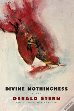 Capa do artigo Divine Nothingness