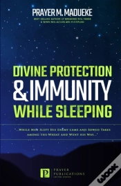 Capa do artigo Divine Protection & Immunity While Sleeping