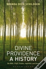 Capa do artigo Divine Providence A History