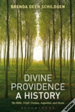 Capa do artigo Divine Providence A History