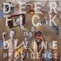 Divine Providence - Vinil - Preview