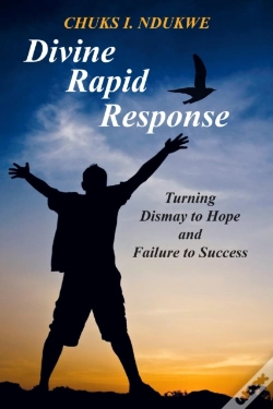 Capa do artigo Divine Rapid Response