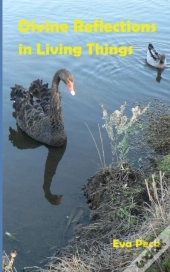 Divine Reflections In Living Things