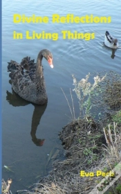 Capa do artigo Divine Reflections In Living Things