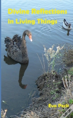 Capa do artigo Divine Reflections In Living Things