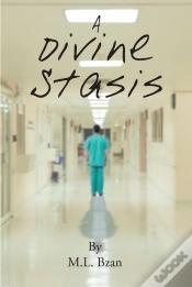 Capa do artigo Divine Stasis