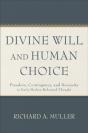 Divine Will And Human Choice - Preview