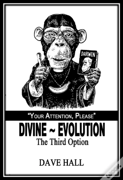 Capa do artigo Divine~Evolution