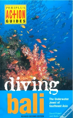 Capa do artigo Diving Bali