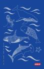 Diving Log Book - Preview
