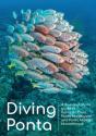 Diving Ponta - Preview