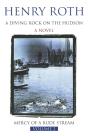 Diving Rock On The Hudson - Preview