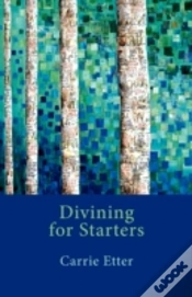 Capa do artigo Divining For Starters