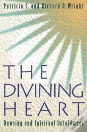 Capa do artigo Divining Heart
