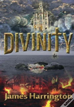 Capa do artigo Divinity