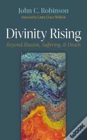 Capa do artigo Divinity Rising